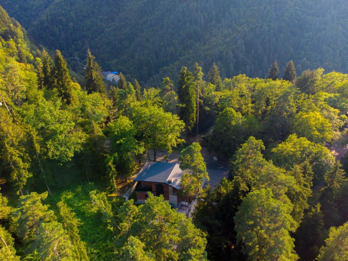 Hotel Evergreen Borjomi Ngoại thất bức ảnh